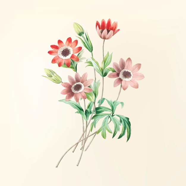ヴィンテージ花のイラスト
