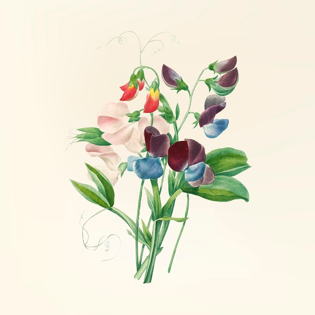 Иллюстрация старинных цветов