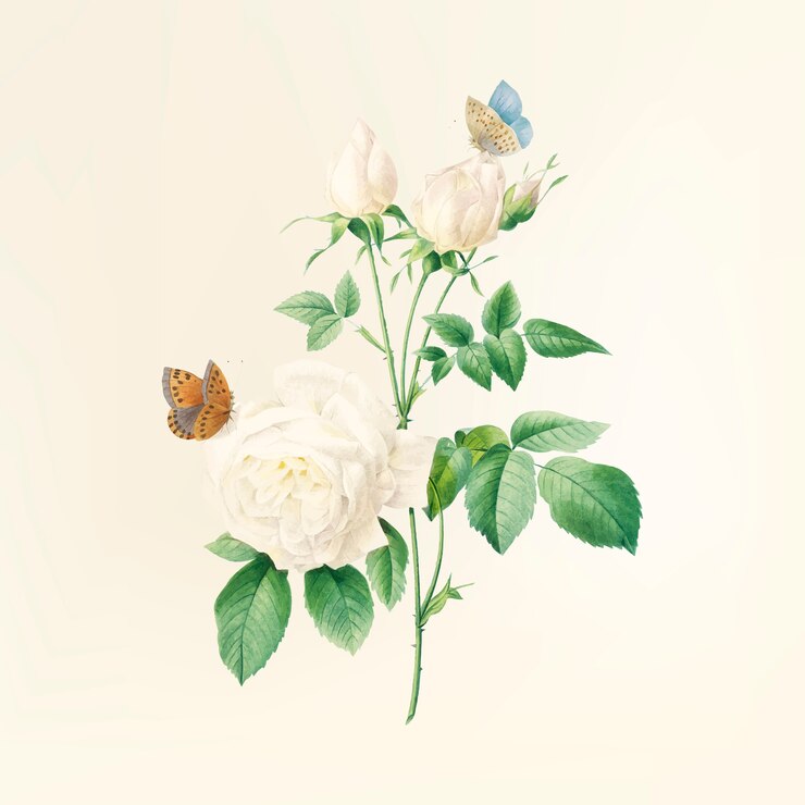 無料Vector ヴィンテージ花のイラスト