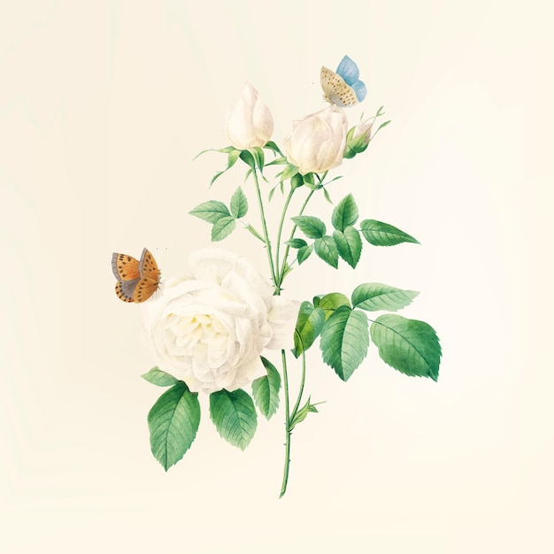 빈티지 꽃 그림