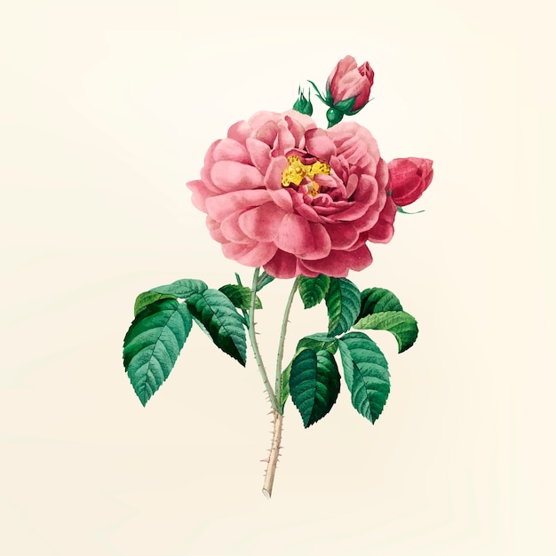 Free vector vintage flower illustration