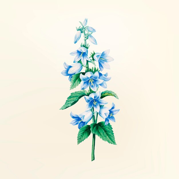 빈티지 꽃 그림