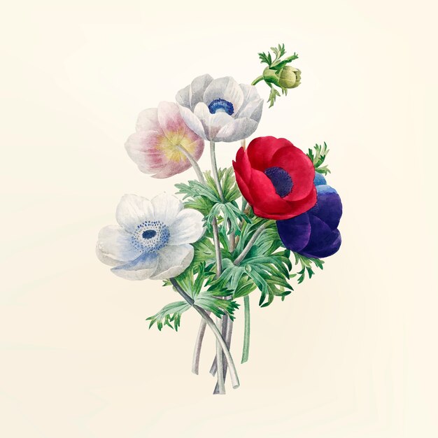 Vintage flower illustration