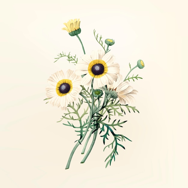 Vintage flower illustration