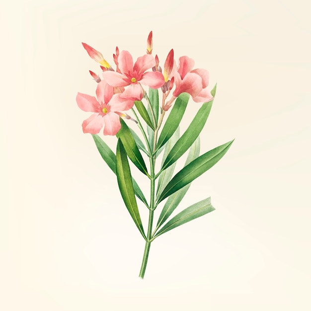 Free vector vintage flower illustration