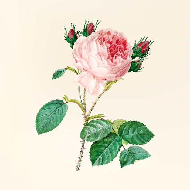 Free vector vintage flower illustration