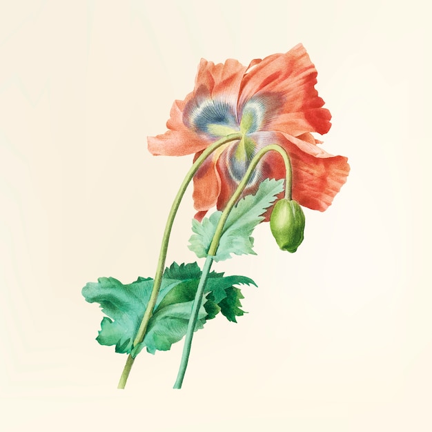 Free vector vintage flower illustration