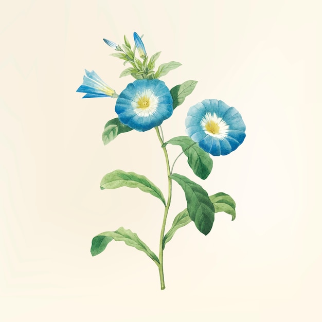 Vintage flower illustration