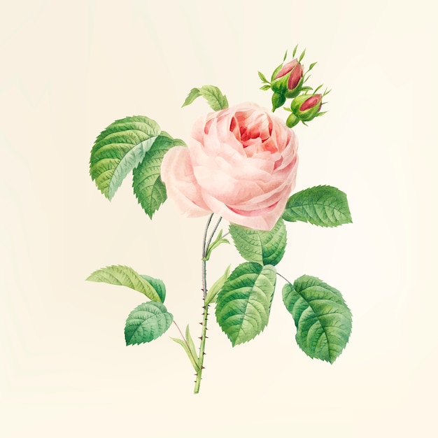 Free vector vintage flower illustration