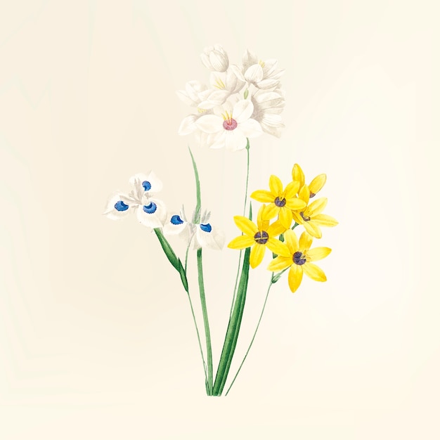 Free vector vintage flower illustration