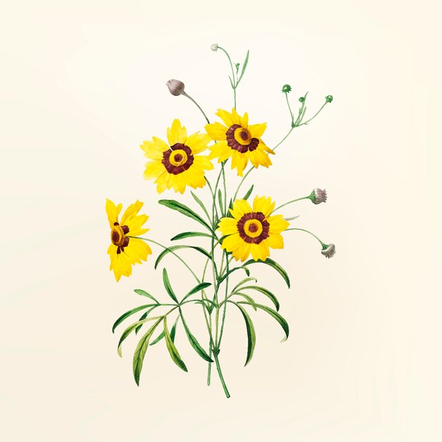 Vintage flower illustration