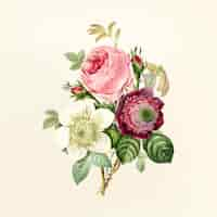 Free vector vintage flower illustration