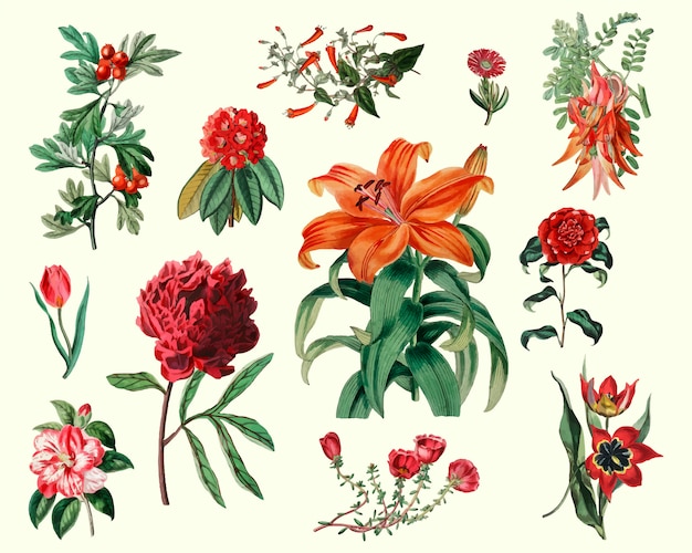 Vettore gratuito set di fiori d'epoca