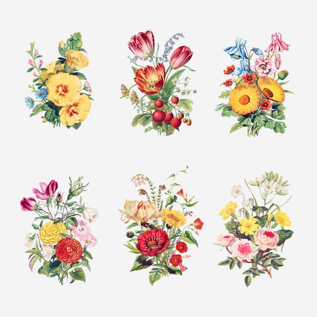 Vintage flowers bouquet collection vector