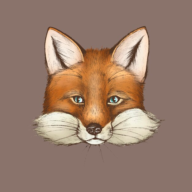 Vintage furry brown fox face 