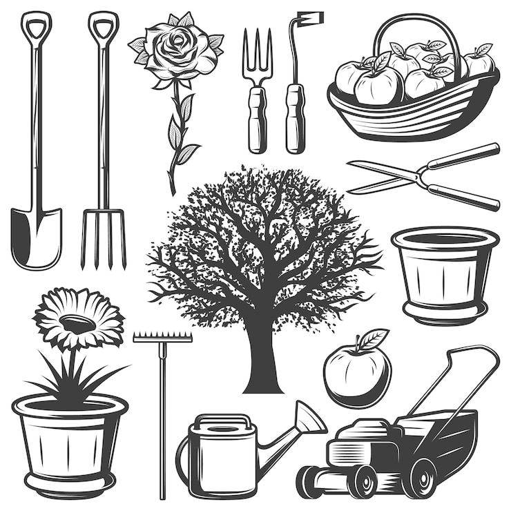 Free Vector vintage garden elements collection