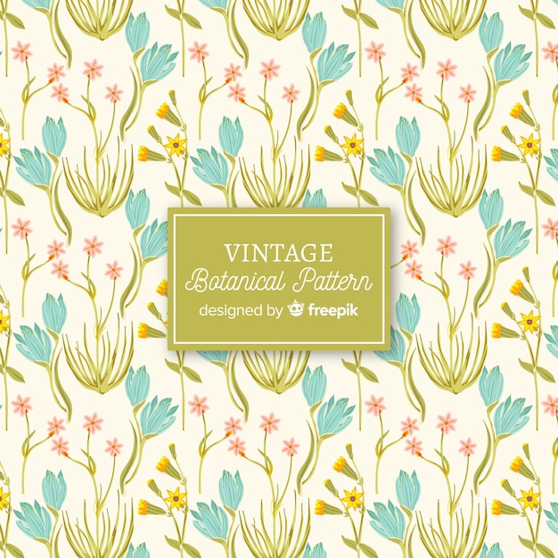 Free Vector vintage hand drawn botanical background