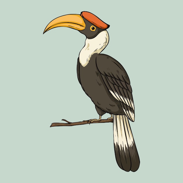 Vintage hand drawn vector hornbill cartoon clipart