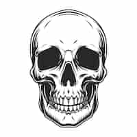 Free vector vintage human skull concept