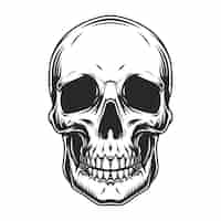 Free vector vintage human skull concept