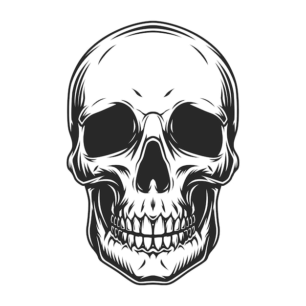 Vintage human skull concept