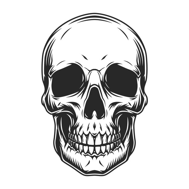 Vintage human skull concept