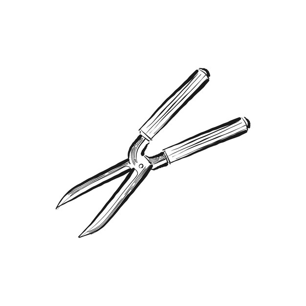 Free vector vintage illustration of a hedge shears