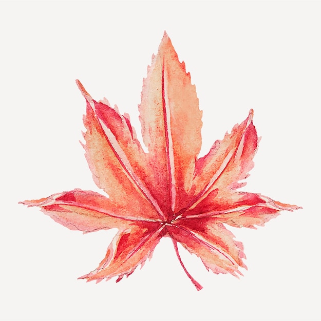 Vintage Japanese maple leaf vector art print, remix from artworks by Megata Morikaga