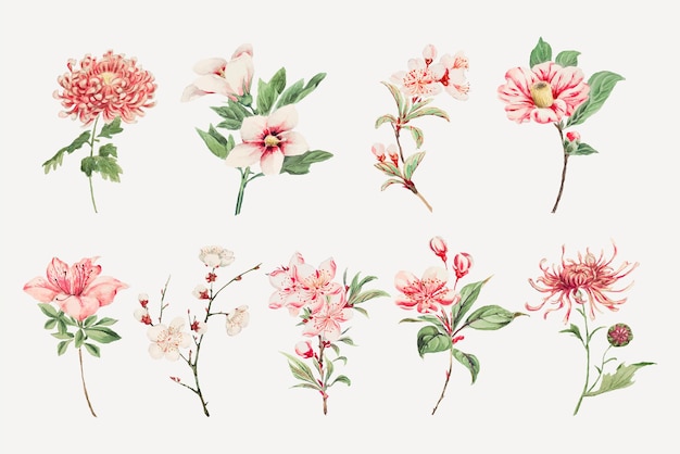 Vettore gratuito set di stampe artistiche di fiori rosa giapponesi vintage, remix di opere d'arte di megata morikaga