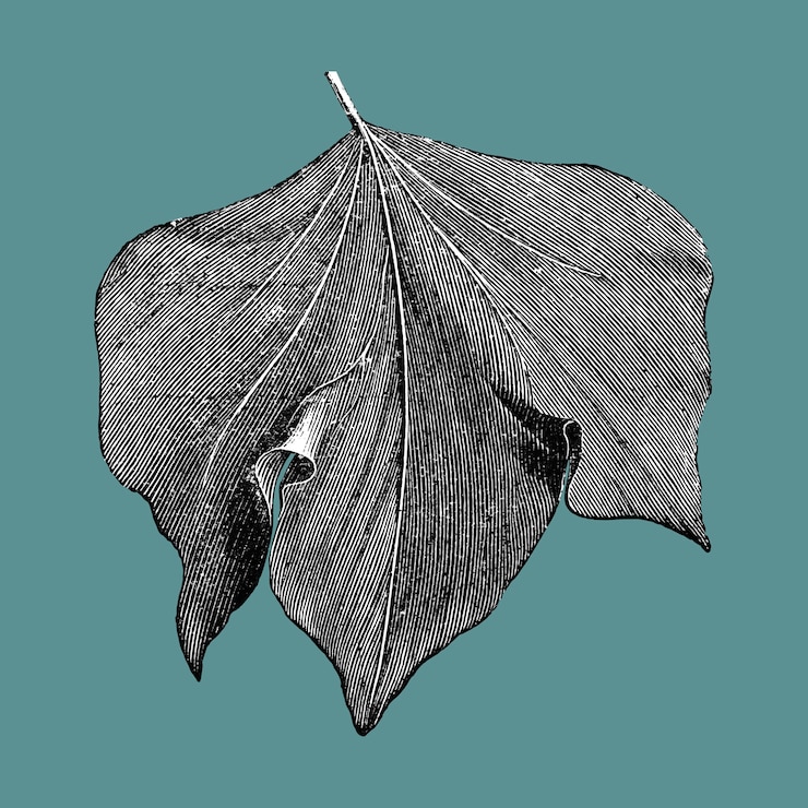 Free Vector vintage leaf illustration