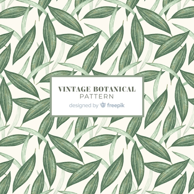 Free Vector vintage leaves botanical background