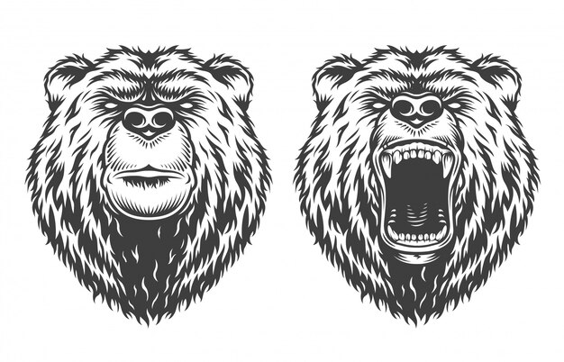 Винтажный логотип в стиле медведя