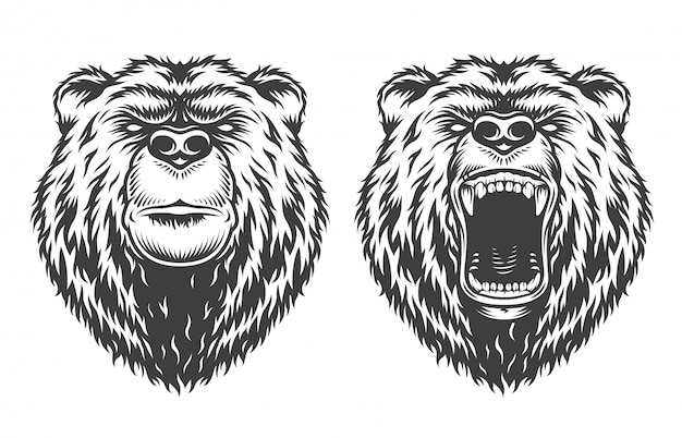 Vintage logo style bear