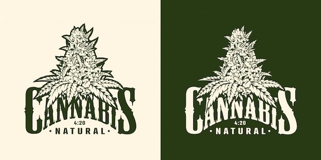 Vintage marijuana plant label