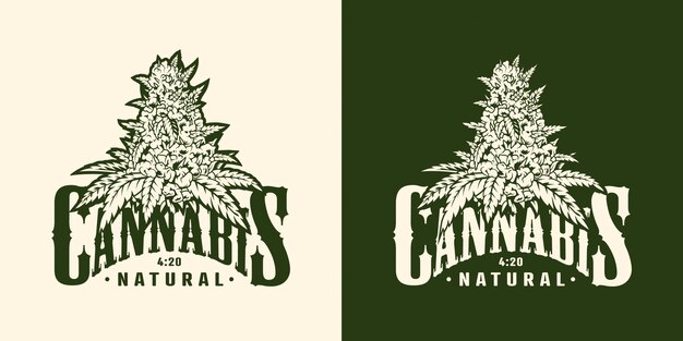 Vintage marijuana plant label