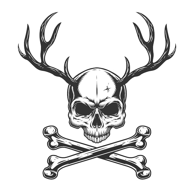 Vintage monochrome skull with deer horns