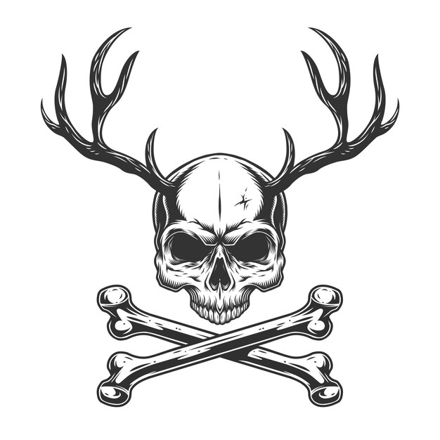 Vintage monochrome skull with deer horns