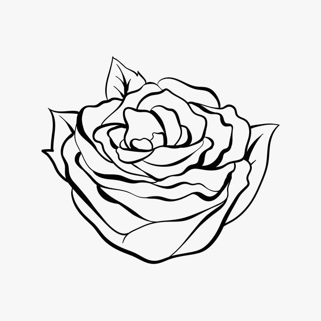 Vintage outline rose old school flash tattoo design symbol 