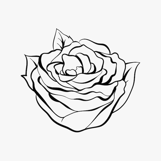 Vintage outline rose old school flash tattoo design symbol 