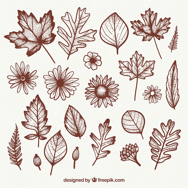 Vintage pack of autumnal leaves and flowers