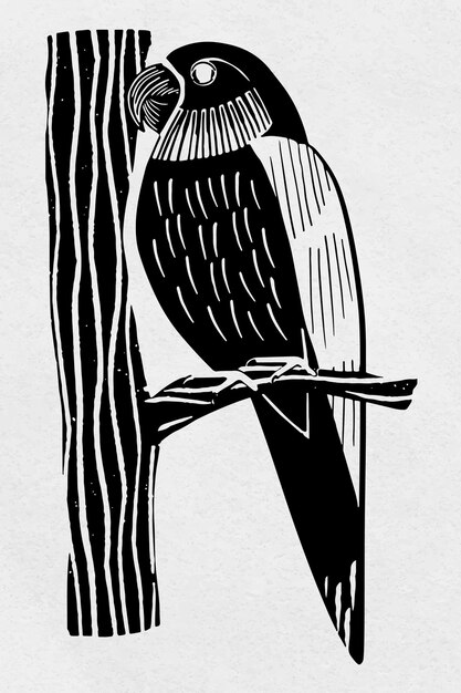 ヴィンテージのオウムの鳥の手描きのクリップアート
