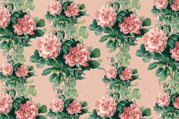 Vintage pink rose floral background illustration, remix from artworks by L. Prang & Co.