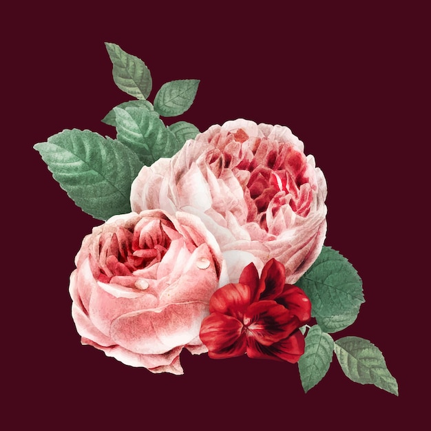 ヴィンテージ赤ベクトルダブルモスバラ花束手描きイラスト