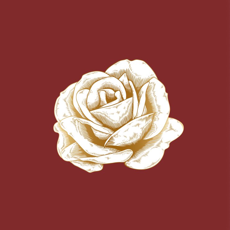 Free Vector vintage rose drawing