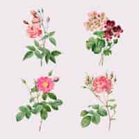 Free vector vintage rose and geranium vector set