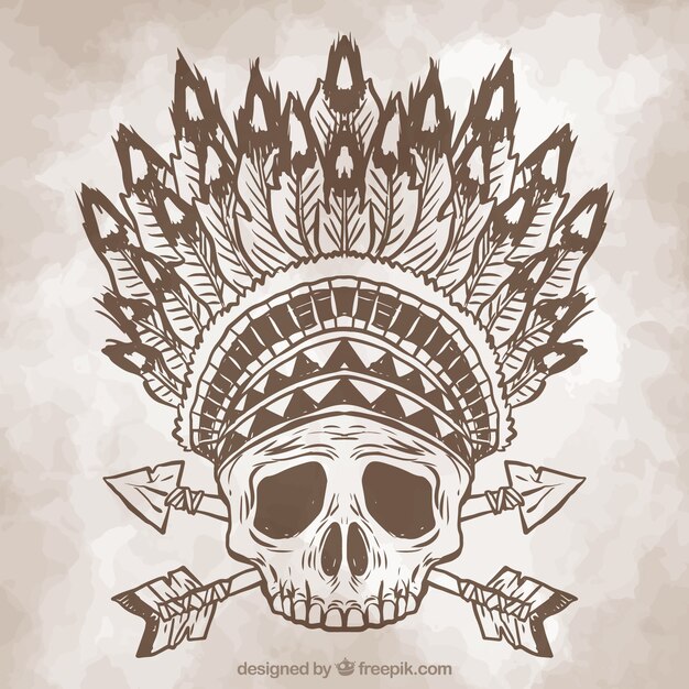 Free vector vintage sketch of skull with feathers