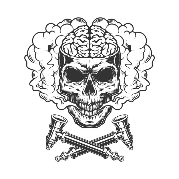 vintage skull with human brain