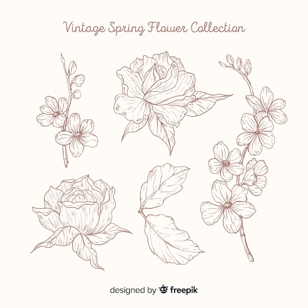 Vintage spring flower collection