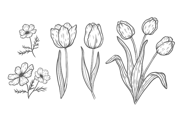 Free vector vintage spring flower collection