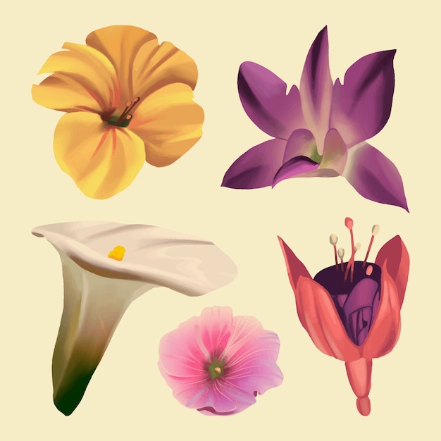 Бесплатное векторное изображение Коллекция старинных весенних цветов